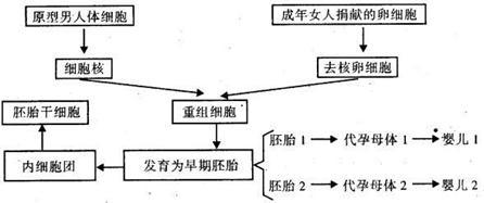 器官移植技术 现状、挑战与前景