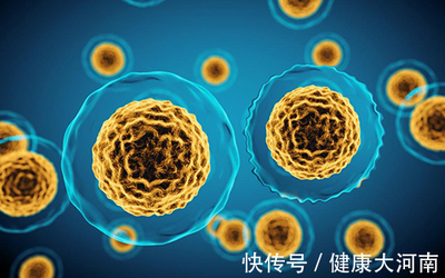 补肾抗衰新前沿？干细胞疗法——机遇与风险并存的人体实验