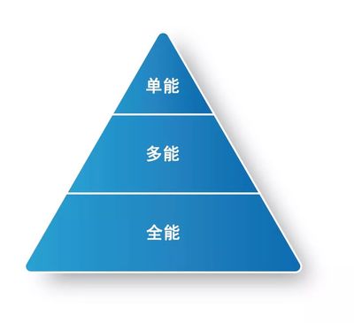 汉氏联合成果专栏:开创胎盘亚全能干细胞专利技术