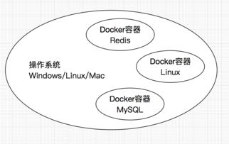 融合创新 Docker容器化游戏开发环境与人体干细胞技术的交叉应用展望