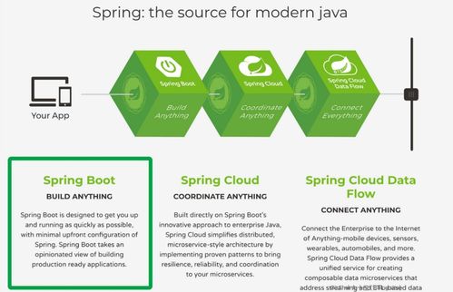 为什么越来越多的开发者选择使用Spring Boot，兼谈快速认识其技术栈与人体干细胞技术的开发和应用